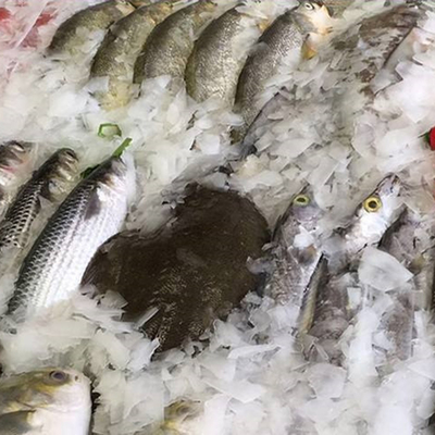 7.5A Elektrische Strömung 400 kg Eismaschine für Fischmarktbauarbeiten