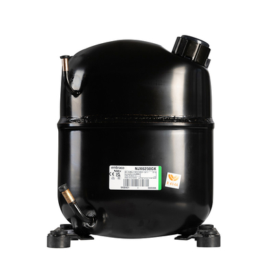 Embraco Compressor 500Kg täglich LZ-05 Ammoniak Flake Eismaschine für Sri Lanka und Korea