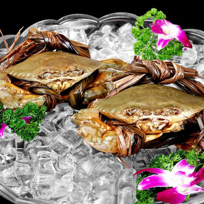 900 kg Ausbeute LZ-2000 Eismaschine für Hauswasserkühlung