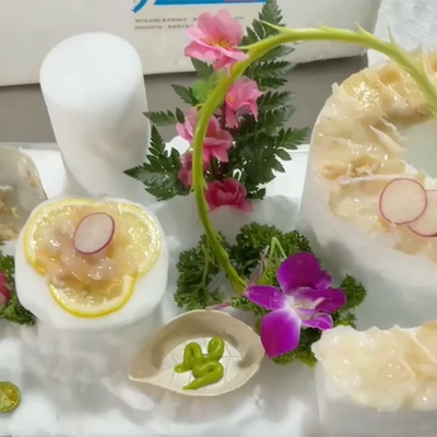 Lieferung leistungsstarke leise Schneeflocken Eismaschine für die Fischerei Produktnummer LZ-500