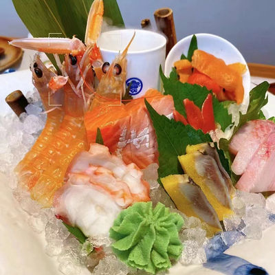 Embraco Kompressor LZ-500 Eismaschine Schneeflocken Eis Rasierer für 220Kg 24 Stunden